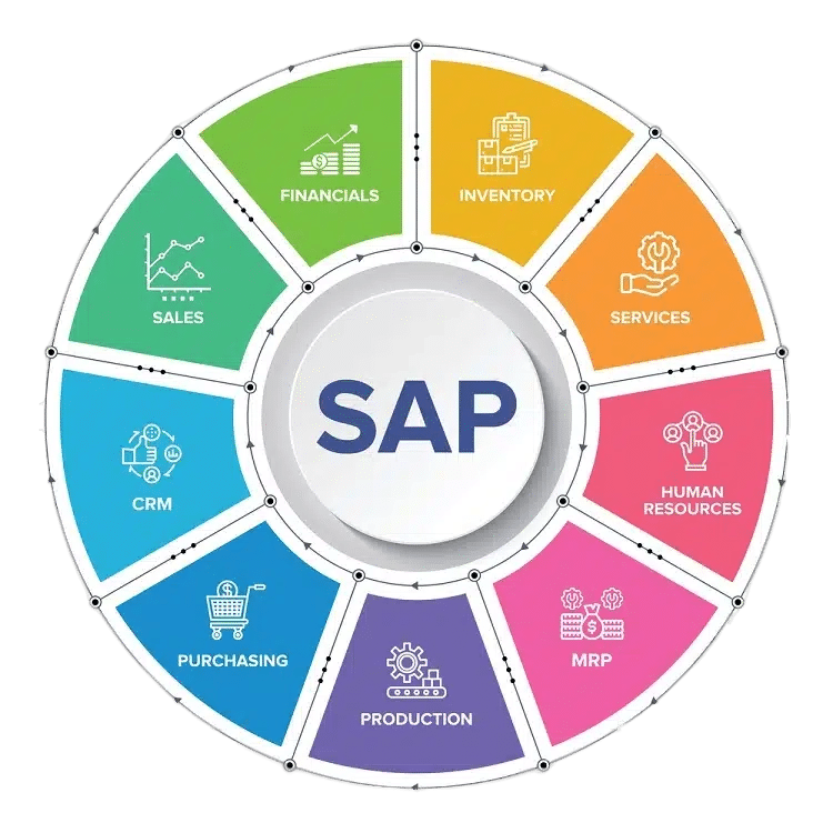 SAP Course in tenkasi